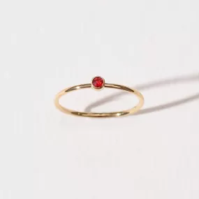 Birthstone Rings | January