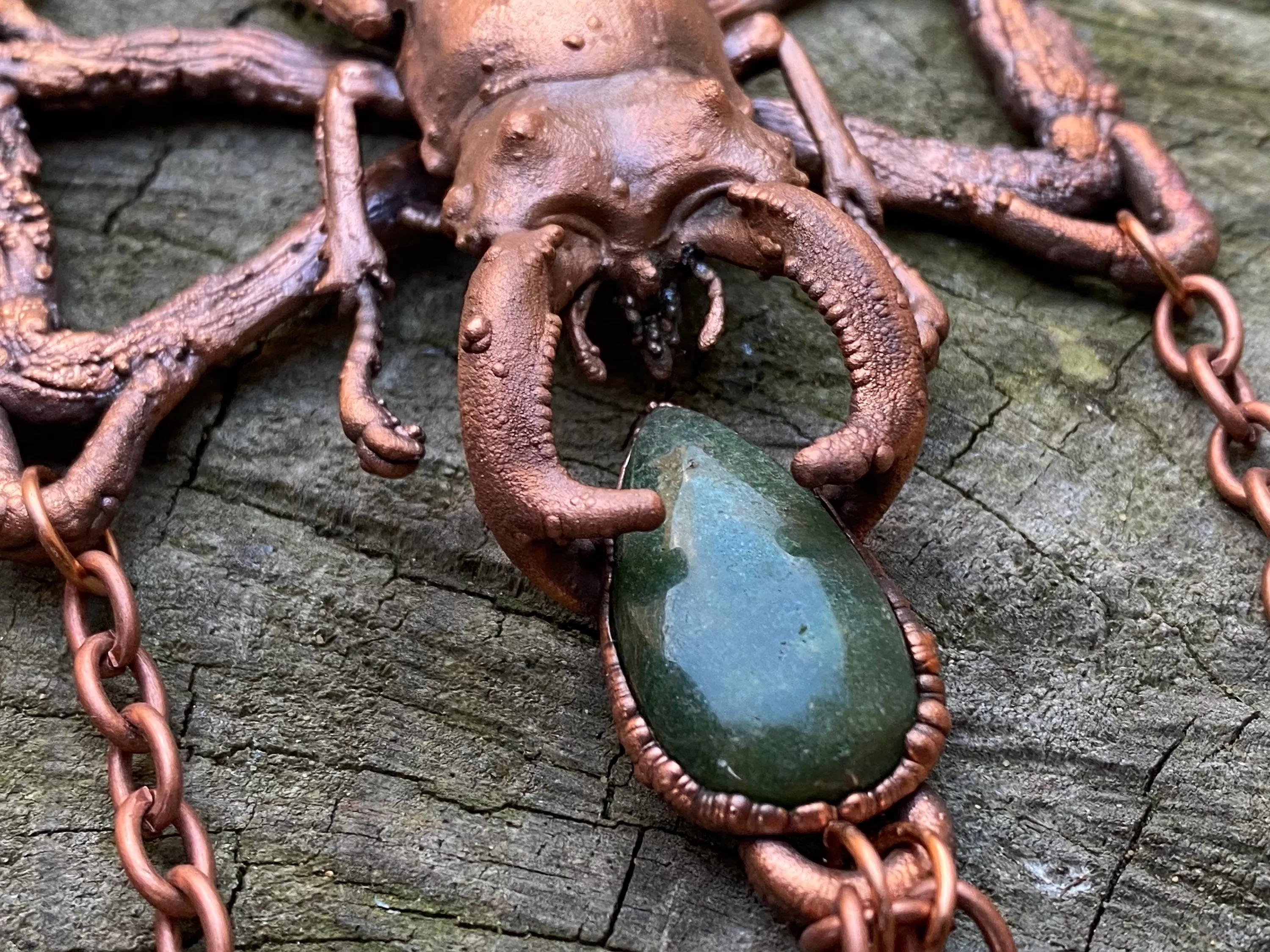 Real stag beetle and green jade