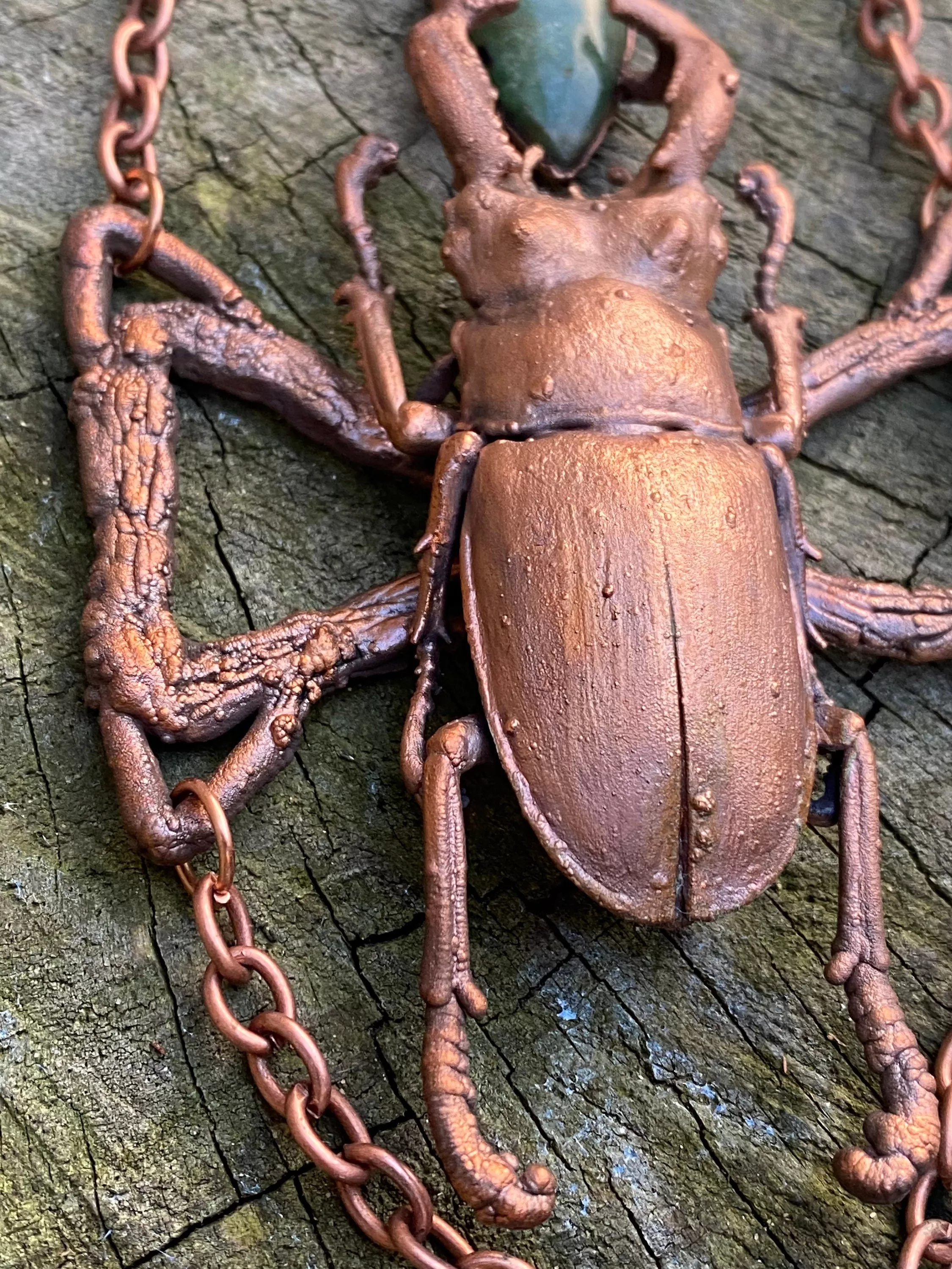 Real stag beetle and green jade